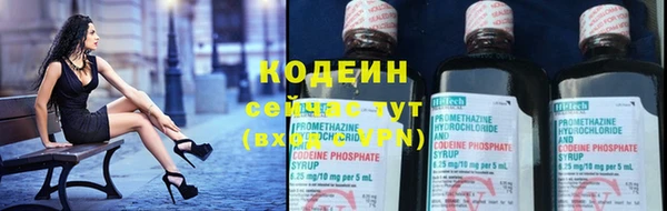 крисы Богородск