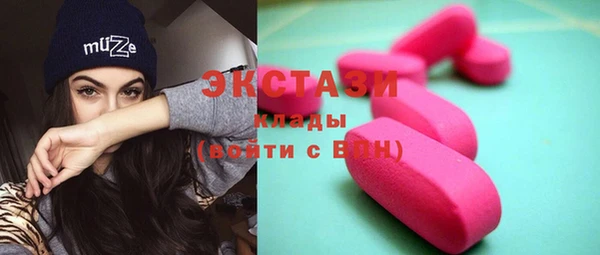 индика Новодвинск
