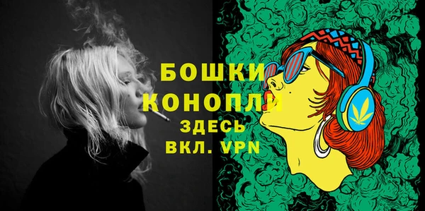 дурь Ладушкин