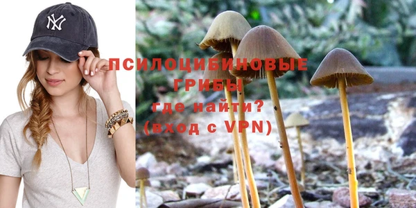 эйфоретик Лабытнанги