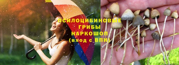 прущая мука Лагань