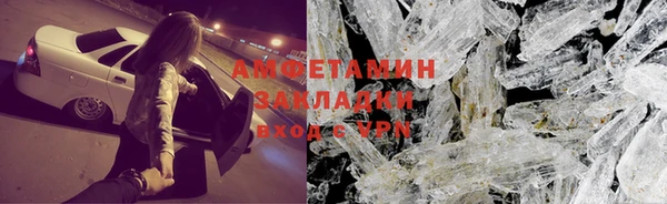 индика Новодвинск