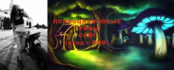дурь Ладушкин